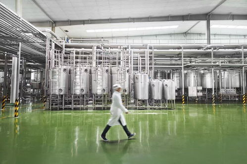 走進新乳業智能工廠 低溫業務雙位數引領增長，生物芯與數智化雙輪驅動企業管理創新